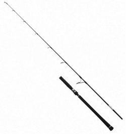 J_S60 4_JIGGING_ROD 1
