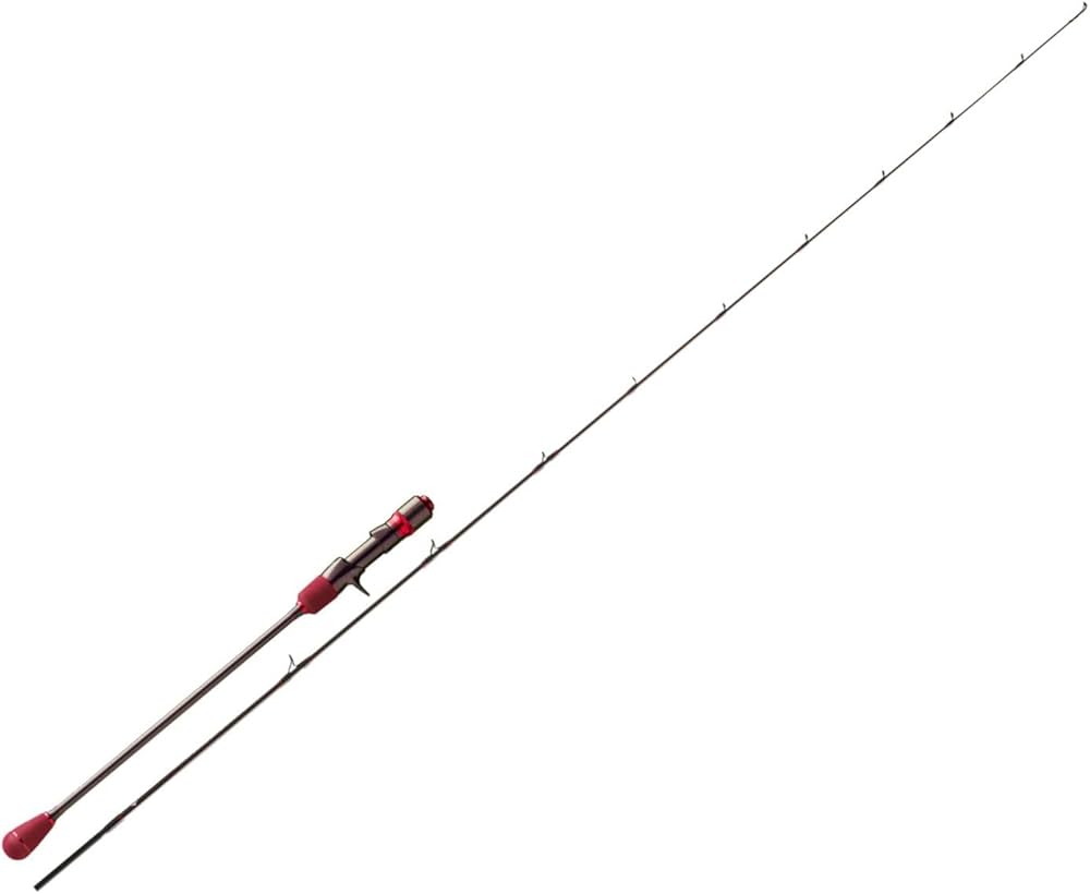 SOLID CARBON SJ 200G 1 1